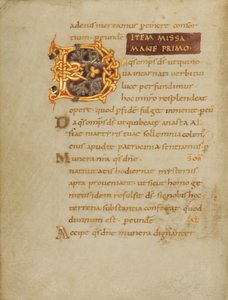 Iniziale decorata D da Unbekannt Unbekannt